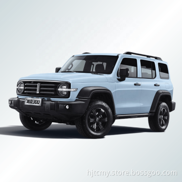 Campione di vendita 2023 Great Wall Tank 4WD 227 HP L4 Vehicles